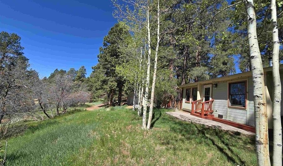 57 Pine Dr, Bayfield, CO 81122 - 3 Beds, 3 Bath