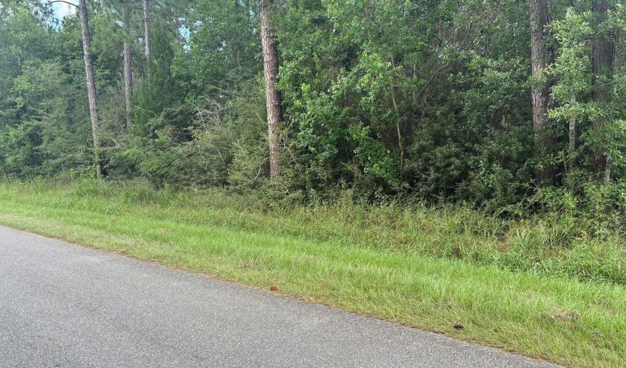 E Pike Street, Bay St. Louis, MS 39520 - 0 Beds, 0 Bath