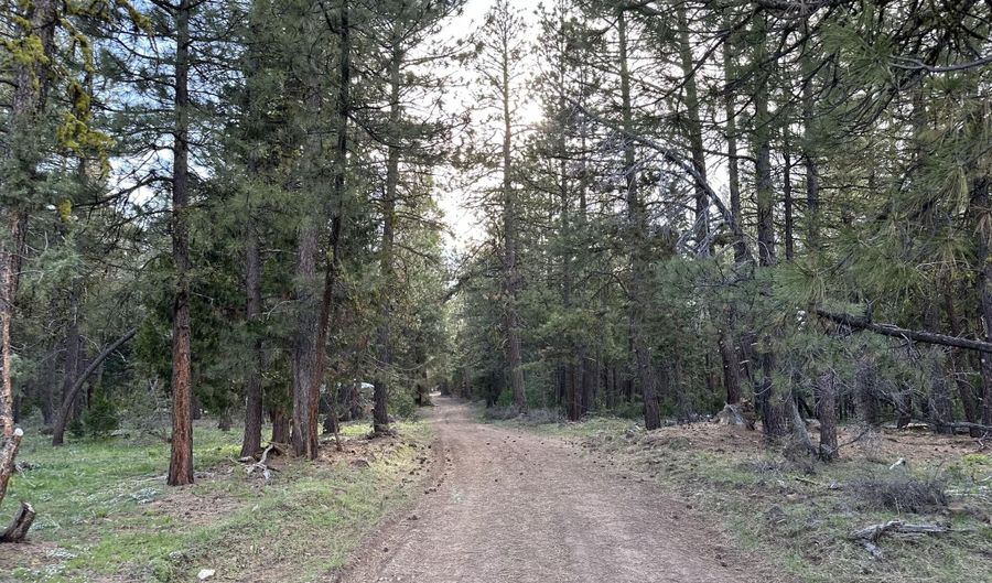 Red Deer Lane lot 2, Bonanza, OR 97623 - 0 Beds, 0 Bath