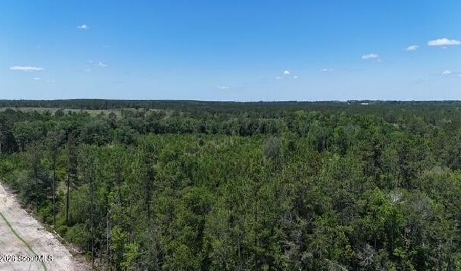 Oscar Tippins Road, Baxley, GA 31513 - 0 Beds, 0 Bath