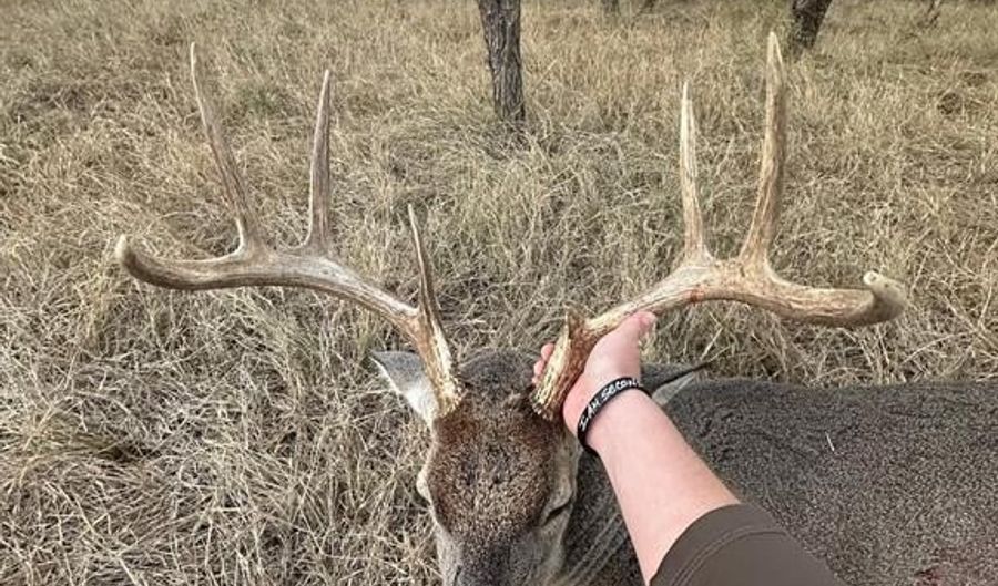 6525 E 180, Anson, TX 75901 - 0 Beds, 0 Bath