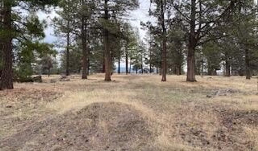 0 Widgeon, Bonanza, OR 97623 - 0 Beds, 0 Bath