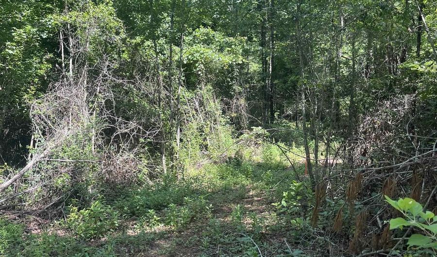 385 CARR Rd, Alpine, AL 35014 - 0 Beds, 0 Bath
