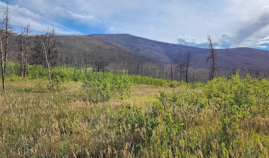 0 Crystal Mountain Rd, Bellvue, CO 80512 - 0 Beds, 0 Bath
