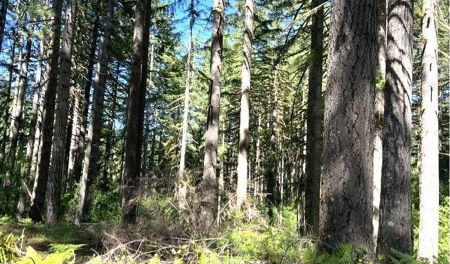 Tunnel Tract Parcel2, Banks, OR 97106 - 0 Beds, 0 Bath