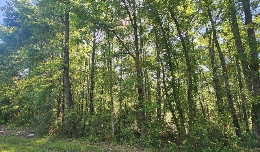 Two Church Road, Bowman, SC 29018 - 0 Beds, 0 Bath