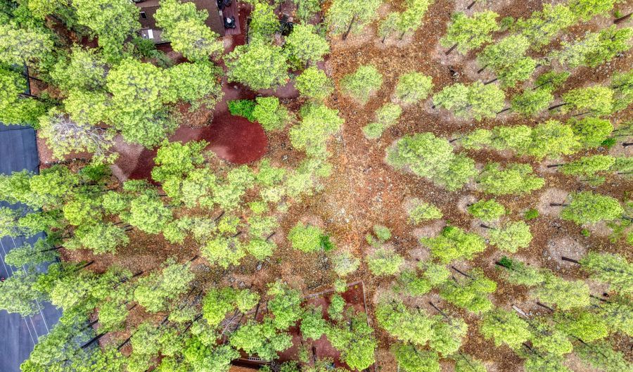 7930 Tall Pine Dr, Pinetop, AZ 85935 - 0 Beds, 0 Bath