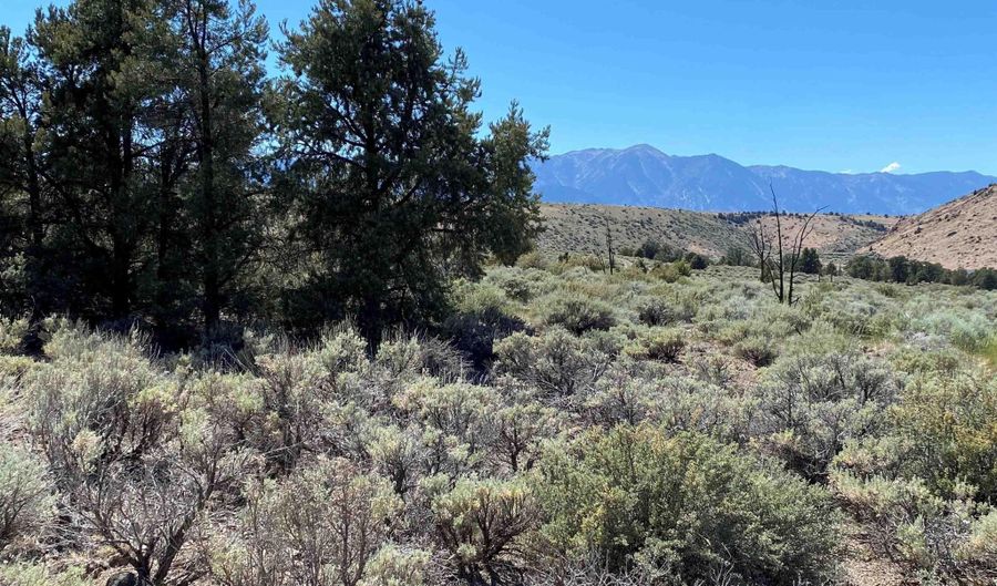 China Springs east lot 3 unit 3 3, Gardnerville, NV 89410 - 0 Beds, 0 Bath