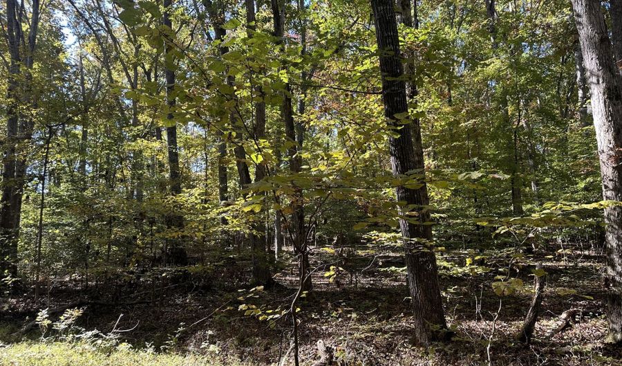 Lot 1215 Iron Gate Drive, Baneberry, TN 37890 - 0 Beds, 0 Bath