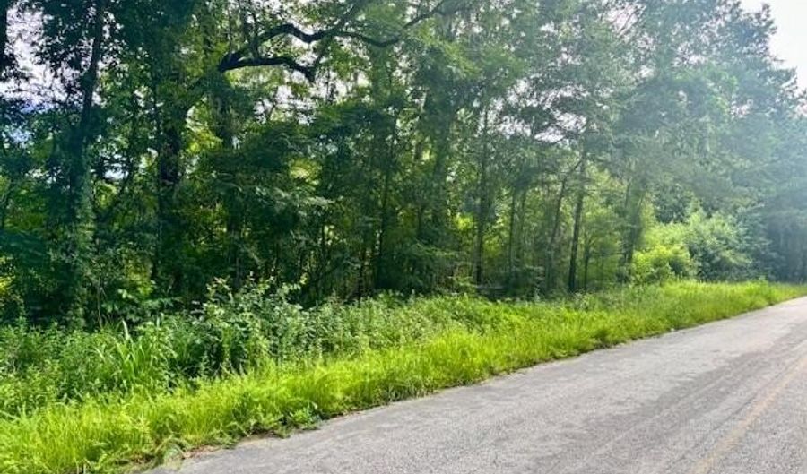 8946 Anderson Rd, Adams Run, SC 29426 - 0 Beds, 0 Bath