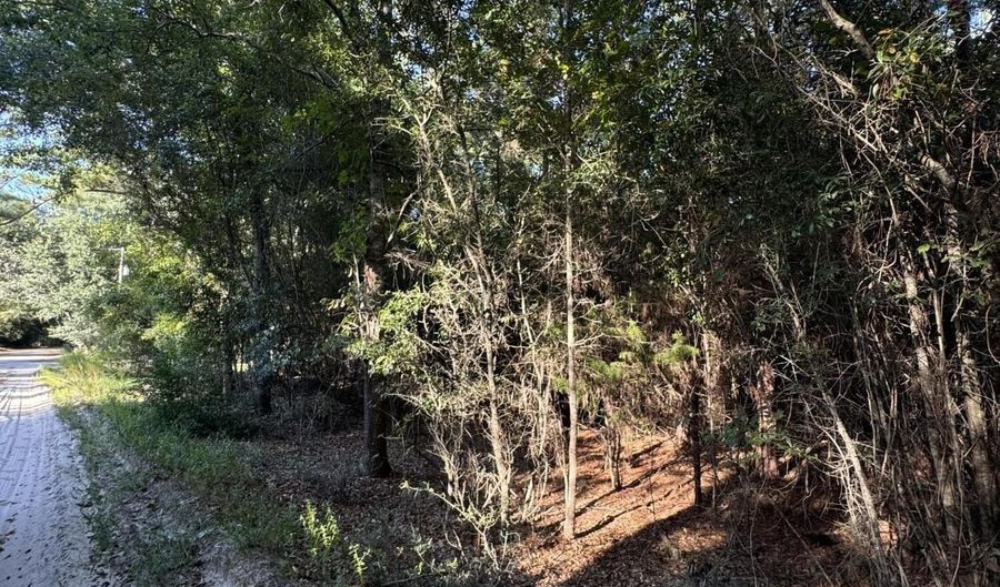 Tbd Old Castle Road, Barnwell, SC 29812 - 0 Beds, 0 Bath