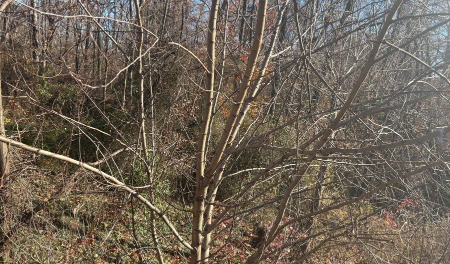 981 RITCHIE Hwy, Arnold, MD 21012 - 0 Beds, 0 Bath