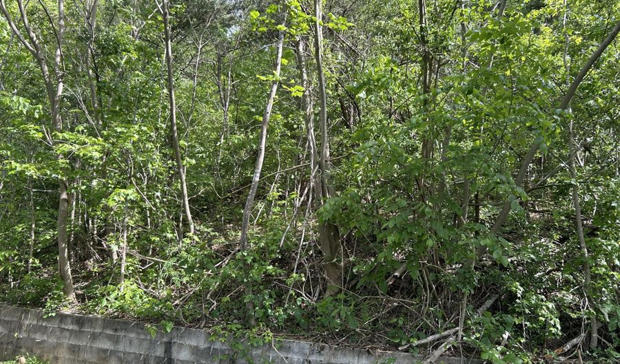 0 Goodman Ln, Barbourville, KY 40906 - 0 Beds, 0 Bath