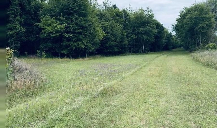TBD Bumphead Road, Americus, GA 31719 - 0 Beds, 0 Bath
