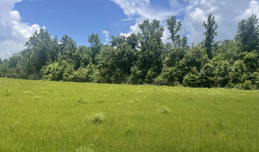 15660 Louis Cooper Rd, Bay Minette, AL 36507 - 0 Beds, 0 Bath