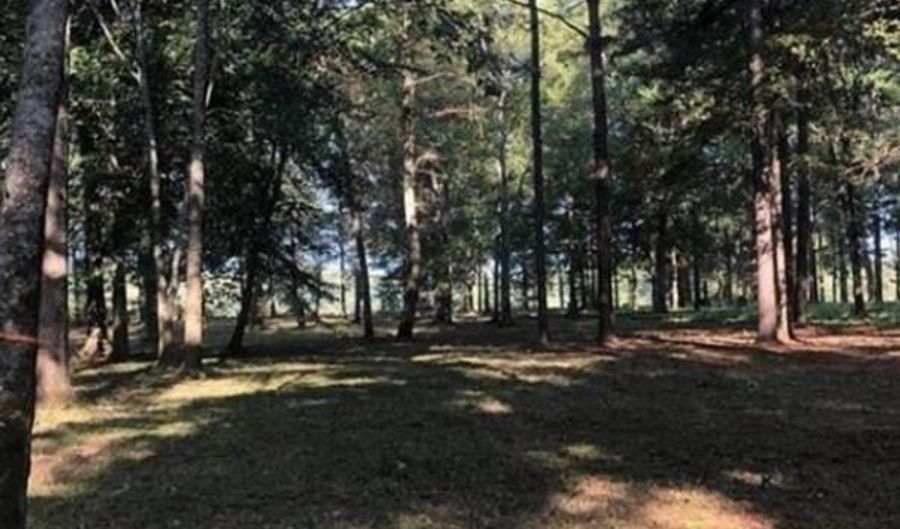 13 Cypress Point Dr, Akron, AL 35441 - 0 Beds, 0 Bath
