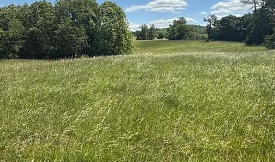 Piney Mountain Rd, Appomattox, VA 24522 - 0 Beds, 0 Bath