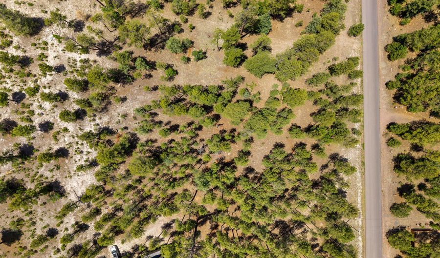 98 County Road 2266, Alpine, AZ 85920 - 0 Beds, 0 Bath