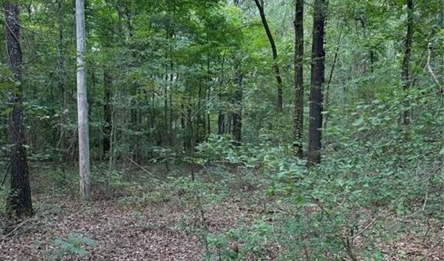 US HWY 64, Atkins, AR 72823 - 0 Beds, 0 Bath