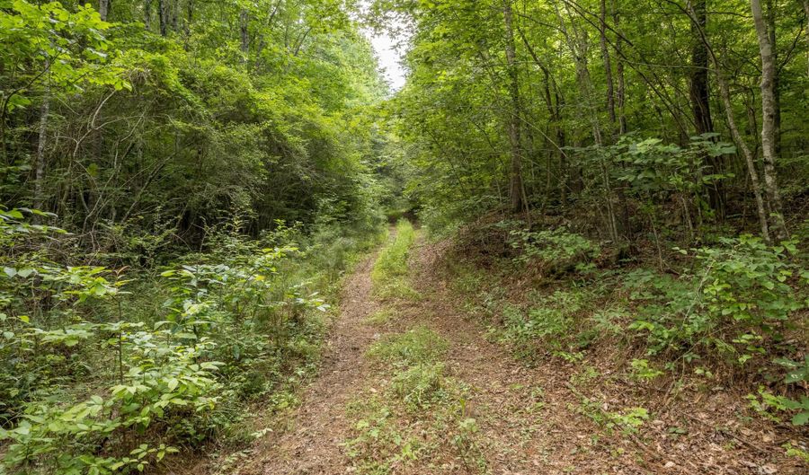 COUNTY ROAD 22, Arley, AL 35541 - 0 Beds, 0 Bath