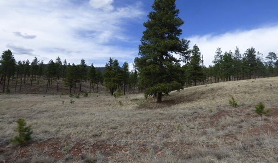 Lot 34a The Ranch At Alpine, Alpine, AZ 85920 - 0 Beds, 0 Bath