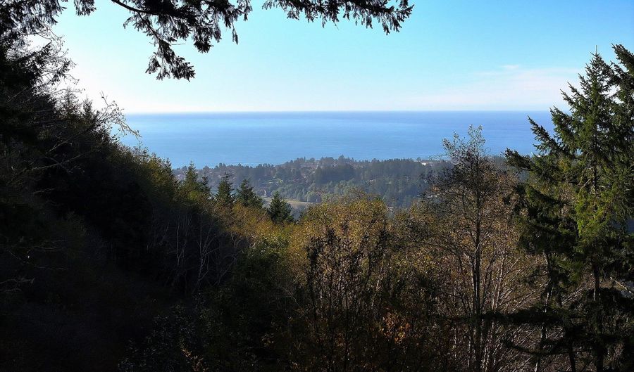 17360 MOUNTAIN Dr, Brookings, OR 97415 - 2 Beds, 2 Bath