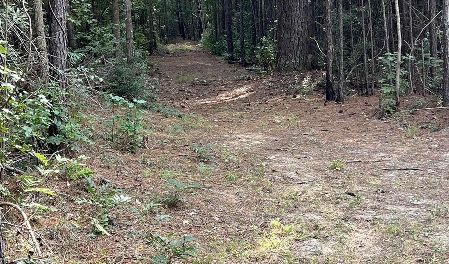 TBD Oglethorpe Dr, Andrews, SC 29510 - 0 Beds, 0 Bath