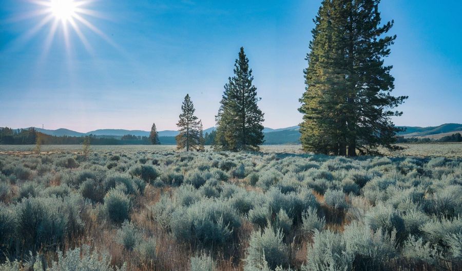 Fishhole Creek Road, Bly, OR 97622 - 0 Beds, 0 Bath