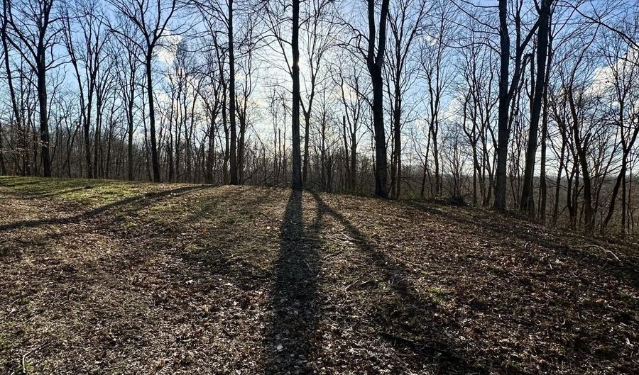 2 Malone Ridge Rd 2, Albany, KY 42602 - 0 Beds, 0 Bath