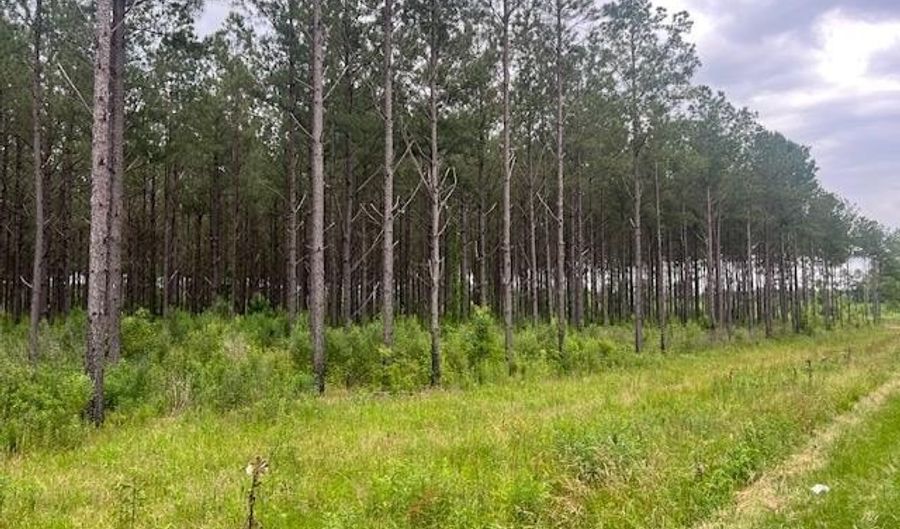 2423 B East Lincoln Rd, Brookhaven, MS 39601 - 0 Beds, 0 Bath