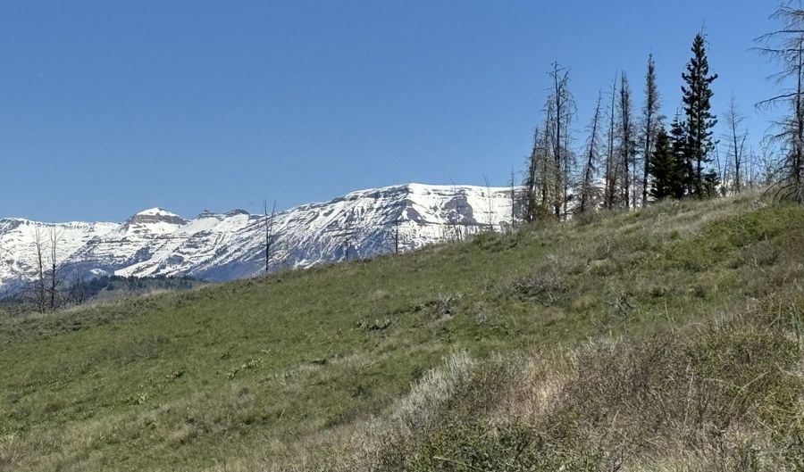 TBD MOUNTAIN VIEW Drive, Bondurant, WY 82922 - 0 Beds, 0 Bath