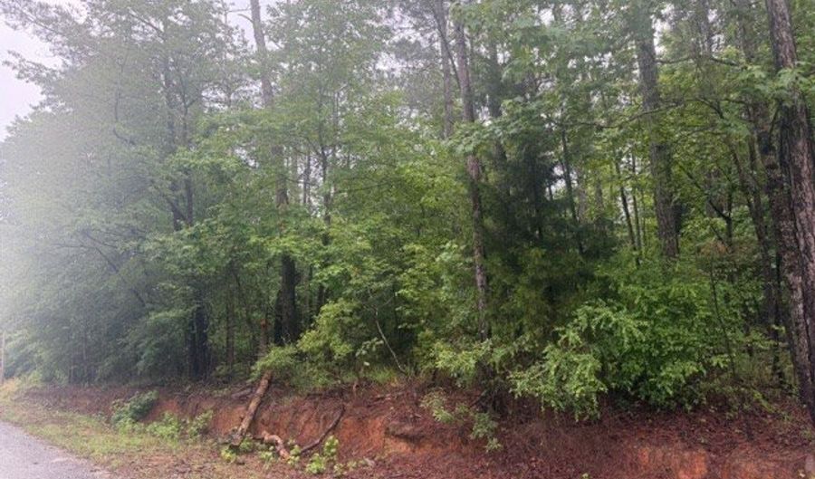 18 19 Englewood Dr, Abbeville, AL 36310 - 0 Beds, 0 Bath