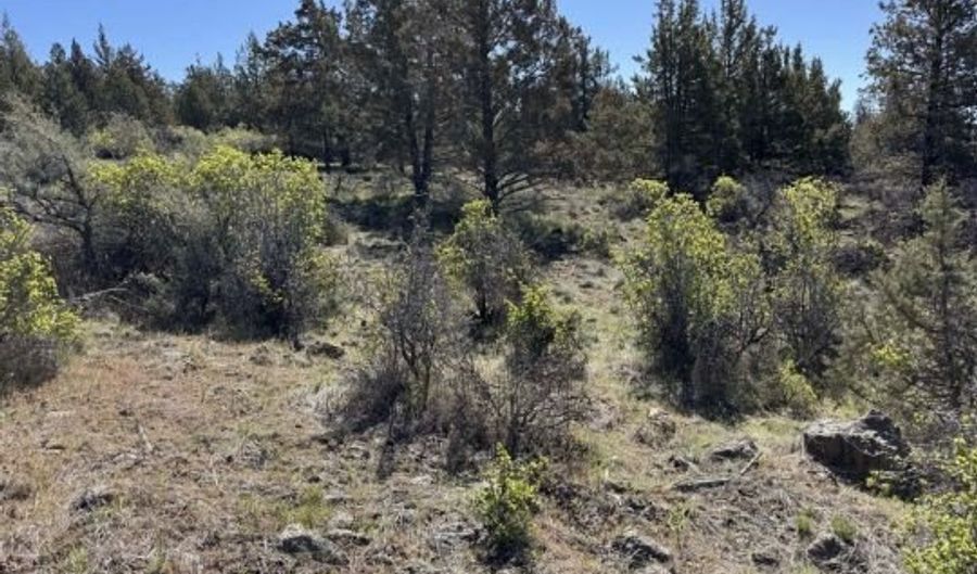 Bluebill Lane, Bonanza, OR 97623 - 0 Beds, 0 Bath