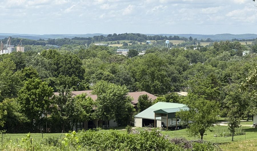 1205 E Washington Ave, Ava, MO 65608 - 0 Beds, 0 Bath