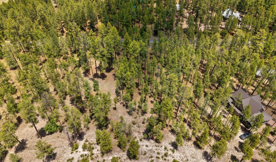 98 County Road 2266, Alpine, AZ 85920 - 0 Beds, 0 Bath