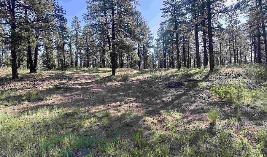 782 Hawks Meadow Dr, Bayfield, CO 81122 - 0 Beds, 0 Bath