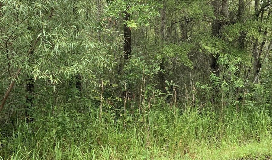 20616 NW 75TH St, Alachua, FL 32615 - 0 Beds, 0 Bath