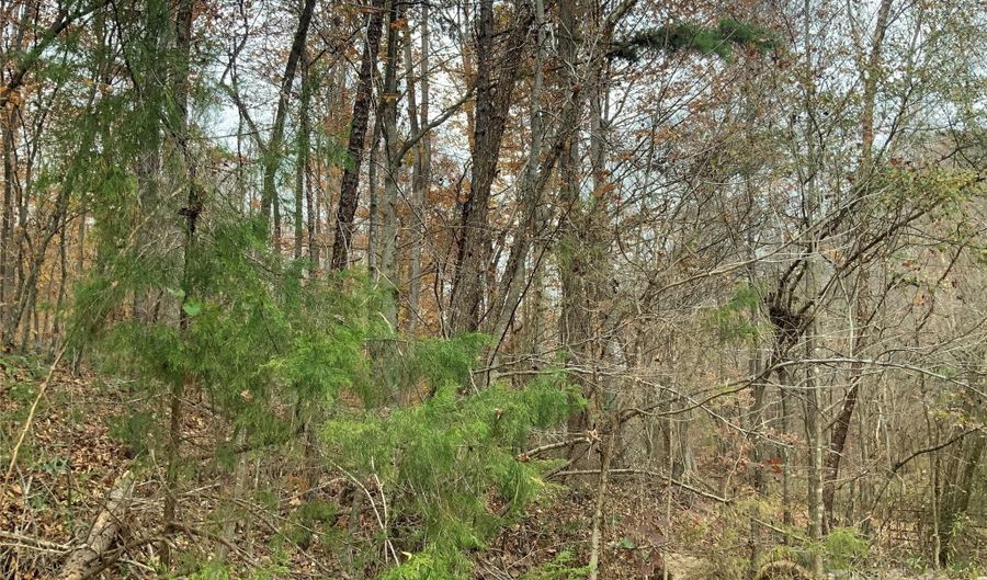 2813 Sadler Rd, Alexis, NC 28006 - 0 Beds, 0 Bath