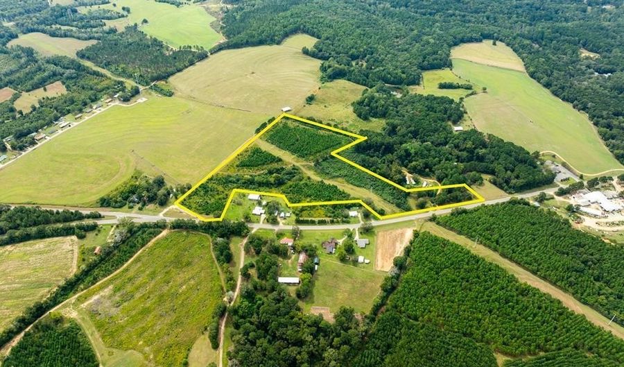 20 Ac State Hwy 95 Columbia Rd, Abbeville, AL 36310 - 0 Beds, 0 Bath