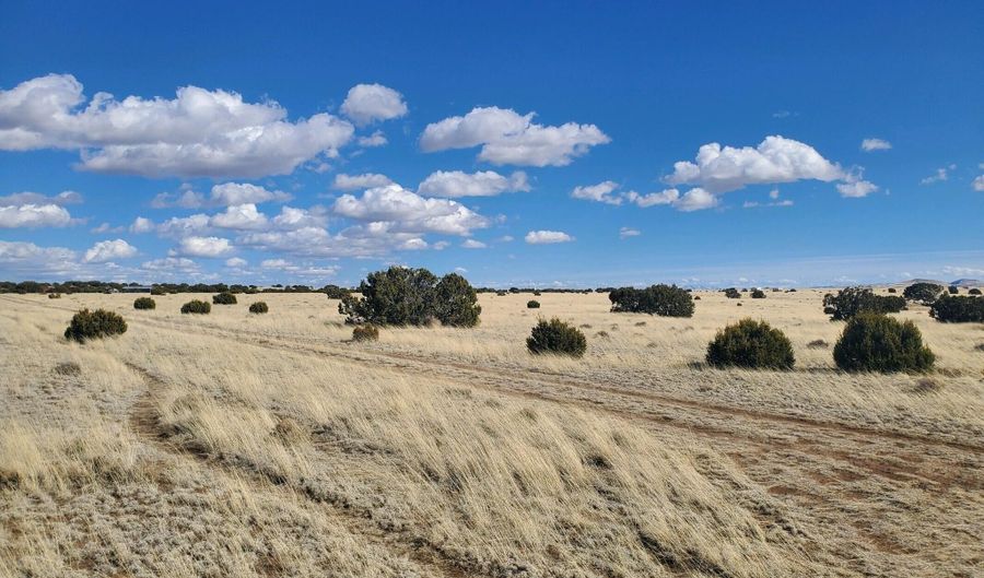 CR 5143, Concho, AZ 85924 - 0 Beds, 0 Bath
