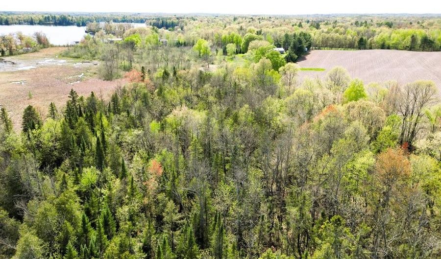 22 Acres On Willy Rd, Weyerhaeuser, WI 54895 - 0 Beds, 0 Bath