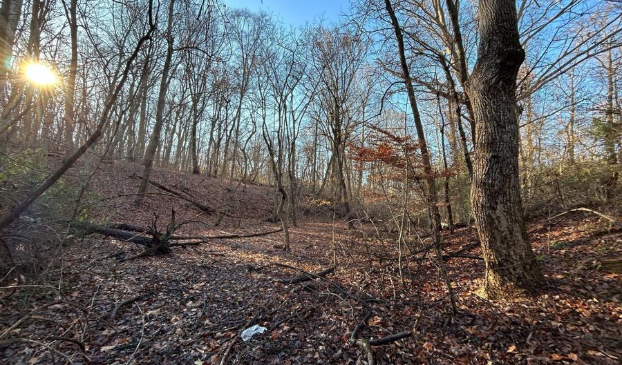 THIRD Avenue, Betterton, MD 21610 - 0 Beds, 0 Bath