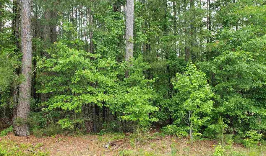 Sloane Lane - Lot # 16, Cheraw, SC 29520 - 0 Beds, 0 Bath