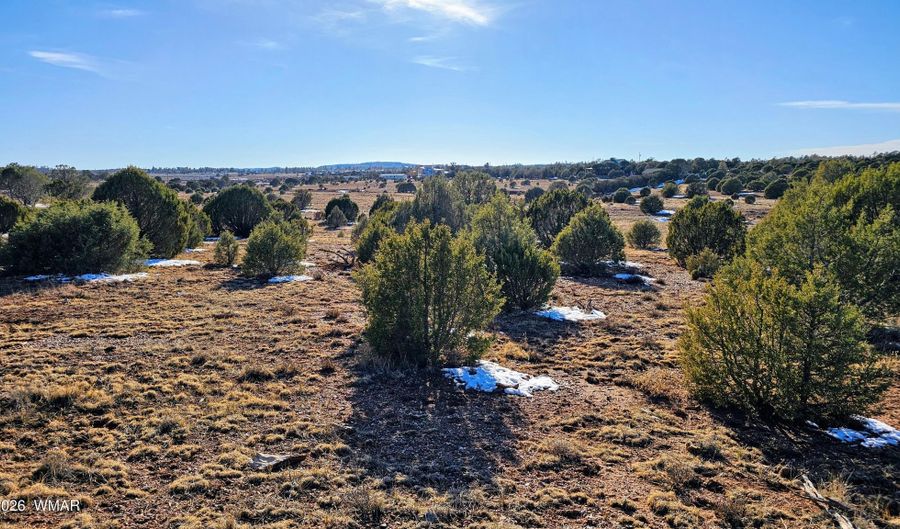4964 Morning Glory St, Clay Springs, AZ 85923 - 0 Beds, 0 Bath