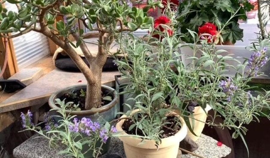 97 Calle Conejo, Arroyo Hondo, NM 87513 - 2 Beds, 2 Bath