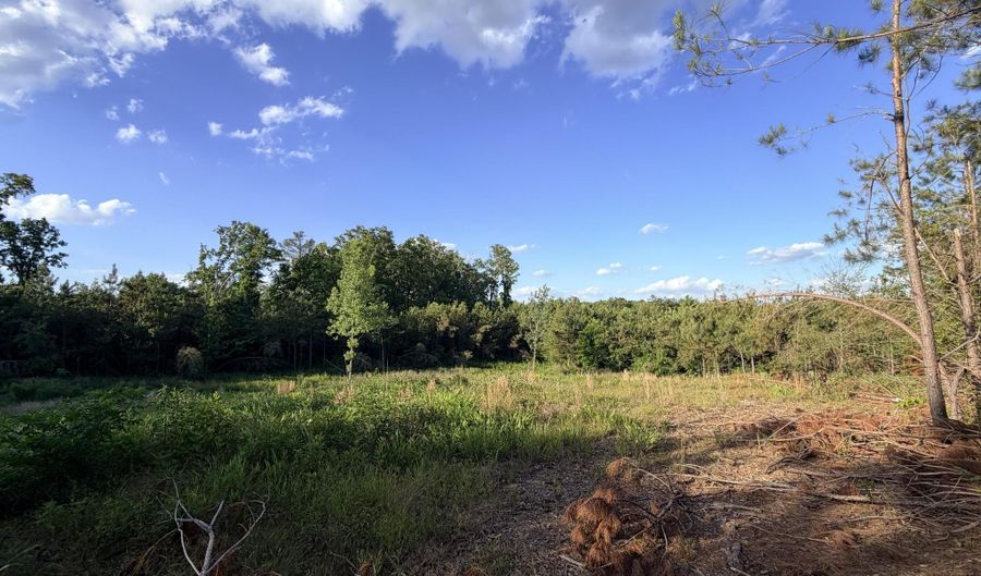 County Road 167, Baldwyn, MS 38824 - 0 Beds, 0 Bath