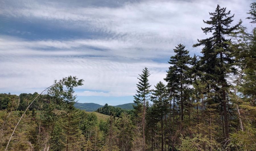 Davis Acres Road, Brookfield, VT 05060 - 0 Beds, 0 Bath