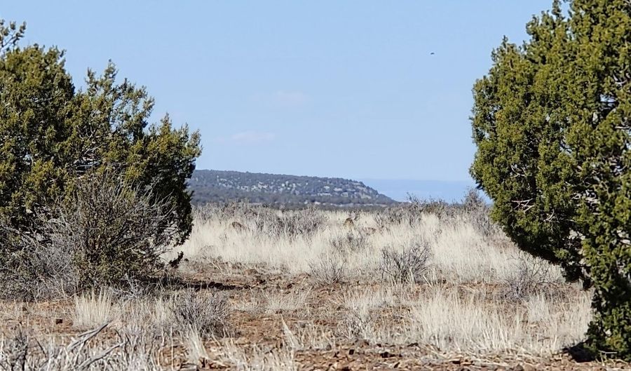 644 Cortez Ranch Rd, Ash Fork, AZ 86320 - 0 Beds, 0 Bath