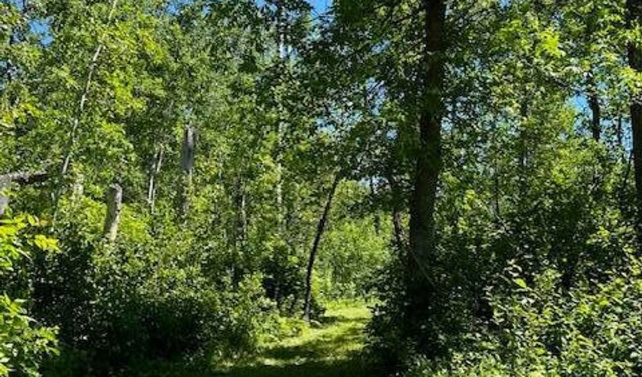 Lot 16 Hartley Shores Road, Bottineau, ND 58318 - 0 Beds, 0 Bath