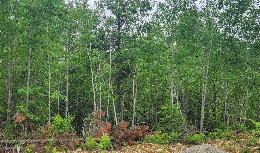 Map2lot10 Pinkham Road, Acton, ME 04468 - 0 Beds, 0 Bath